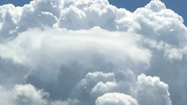 早朝からの浮気調査