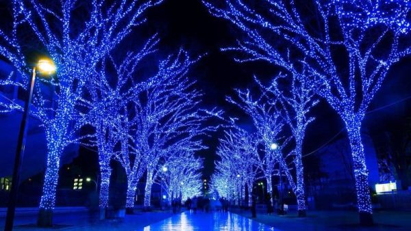 探偵－浮気調査の実例 File8（浮気相手とクリスマスイルミネーション）東京都目黒区