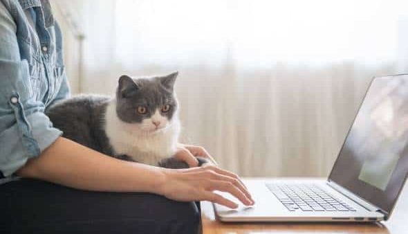 探偵－浮気調査の実例 File10（出社？テレワーク？）東京都世田谷区