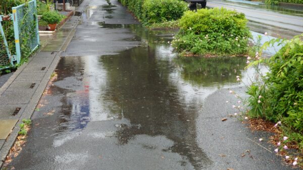 冷たい雨の週末
