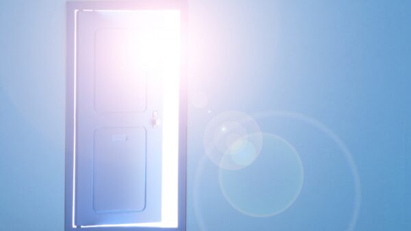 不倫の証拠を掴んだ「その先」へ。離婚か再構築か、後悔しない未来の選び方